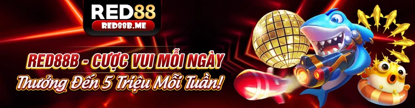 Nền tảng Cá cược 997bet App 2026